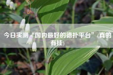 今日实测“国内最好的德扑平台”(真的有挂)