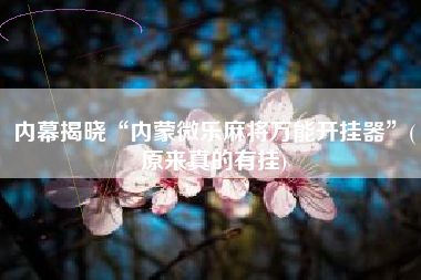 内幕揭晓“内蒙微乐麻将万能开挂器”(原来真的有挂)