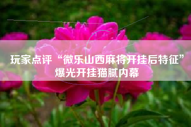 玩家点评“微乐山西麻将开挂后特征”爆光开挂猫腻内幕