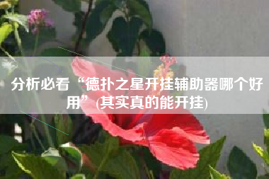 分析必看“德扑之星开挂辅助器哪个好用	”(其实真的能开挂)