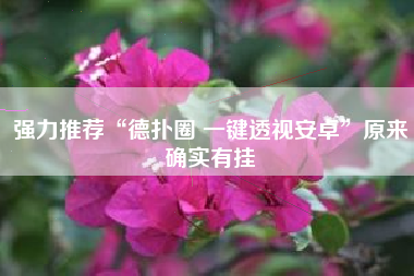 强力推荐“德扑圈 一键透视安卓	”原来确实有挂