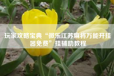 玩家攻略宝典“微乐江苏麻将万能开挂器免费	”挂辅助教程