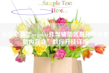 玩家必备“wepoker作弊辅助器最新版本更新内容介”教你开挂详细