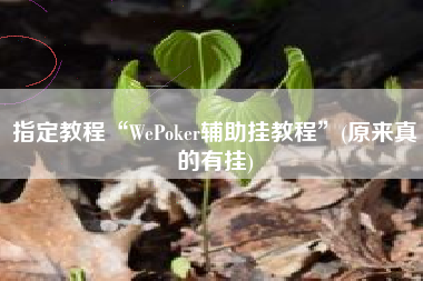 指定教程“WePoker辅助挂教程	”(原来真的有挂)