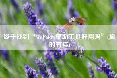 终于找到“WePoker辅助工具好用吗”(真的有挂)