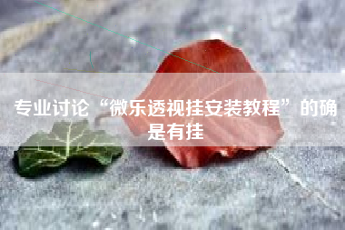 专业讨论“微乐透视挂安装教程”的确是有挂