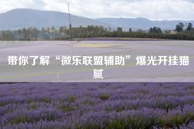 带你了解“微乐联盟辅助	”爆光开挂猫腻