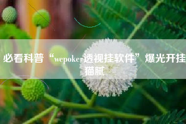 必看科普“wepoker透视挂软件”爆光开挂猫腻
