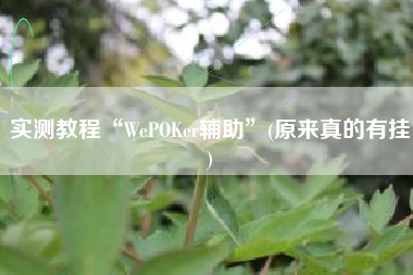 实测教程“WePOKer辅助”(原来真的有挂)