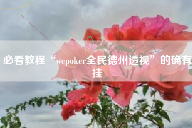 必看教程“wepoker全民德州透视	”的确有挂