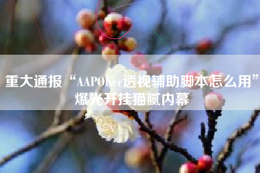 重大通报“AAPOKer透视辅助脚本怎么用”爆光开挂猫腻内幕