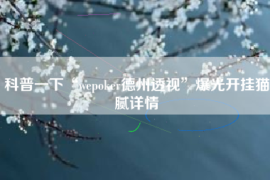 科普一下“wepoker德州透视”爆光开挂猫腻详情