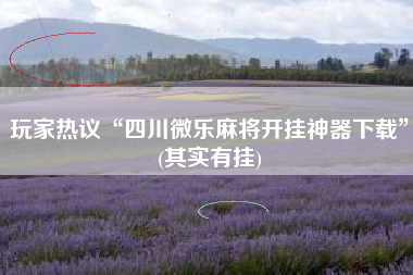 玩家热议“四川微乐麻将开挂神器下载”(其实有挂)