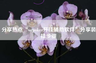 分享热点“wepoker开挂辅助软件”分享装挂步骤