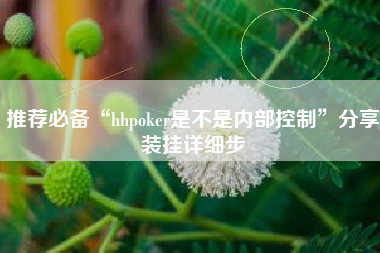 推荐必备“hhpoker是不是内部控制”分享装挂详细步