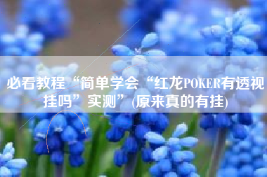 必看教程“简单学会“红龙POKER有透视挂吗	”实测”(原来真的有挂)