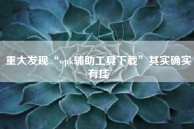 重大发现“wpk辅助工具下载	”其实确实有挂