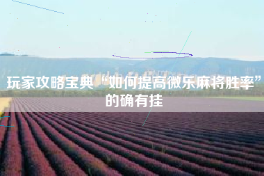 玩家攻略宝典“如何提高微乐麻将胜率”的确有挂