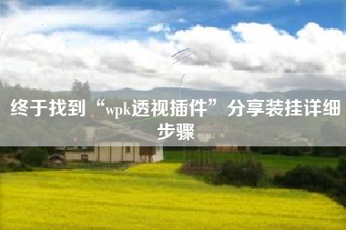 终于找到“wpk透视插件”分享装挂详细步骤