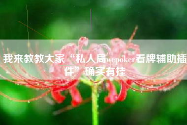 我来教教大家“私人局wepoker看牌辅助插件”确实有挂