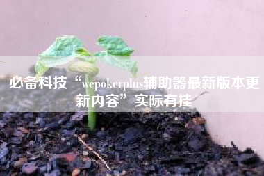 必备科技“wepokerplus辅助器最新版本更新内容”实际有挂