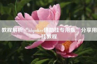 教程解析“hhpoker辅助挂专用版”分享用挂教程