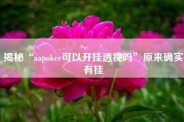 揭秘“aapoker可以开挂透视吗”原来确实有挂