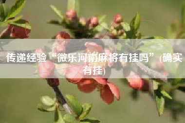 传递经验“微乐河南麻将有挂吗”(确实有挂)