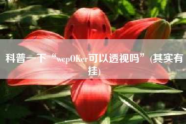 科普一下“wepOKer可以透视吗”(其实有挂)