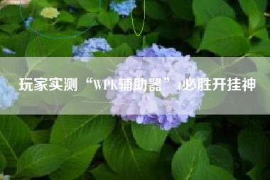 玩家实测“WPK辅助器”(必胜开挂神