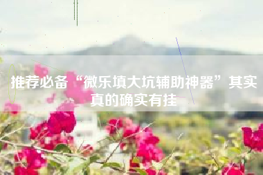 推荐必备“微乐填大坑辅助神器	”其实真的确实有挂