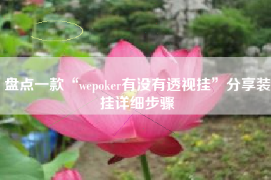 盘点一款“wepoker有没有透视挂	”分享装挂详细步骤