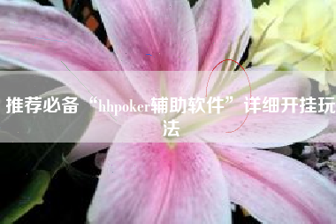 推荐必备“hhpoker辅助软件”详细开挂玩法