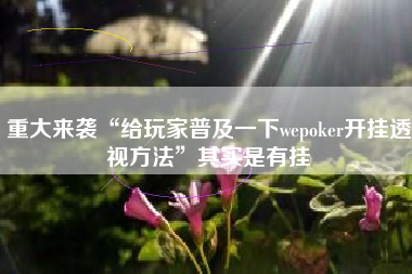 重大来袭“给玩家普及一下wepoker开挂透视方法”其实是有挂