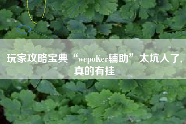 玩家攻略宝典“wepoKer辅助	”太坑人了,真的有挂