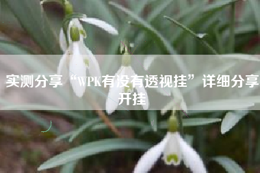 实测分享“WPK有没有透视挂	”详细分享开挂