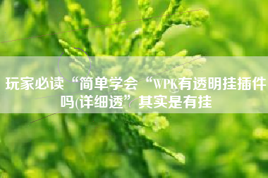 玩家必读“简单学会“WPK有透明挂插件吗(详细透”其实是有挂