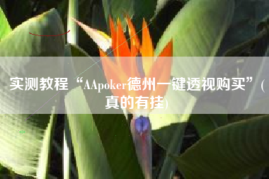 实测教程“AApoker德州一键透视购买	”(真的有挂)
