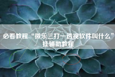 必看教程“微乐三打一透视软件叫什么	”挂辅助教程
