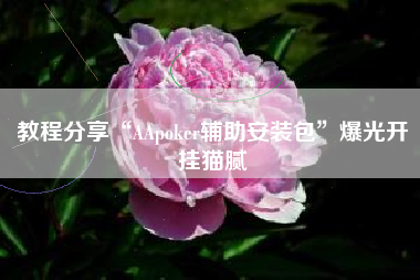 教程分享“AApoker辅助安装包”爆光开挂猫腻