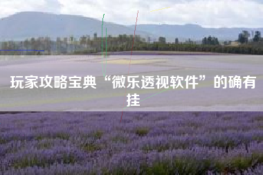 玩家攻略宝典“微乐透视软件”的确有挂