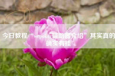 今日教程“wepoker辅助器介绍”其实真的确实有挂