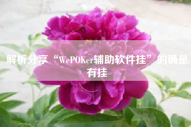 解析分享“WePOKer辅助软件挂	”的确是有挂