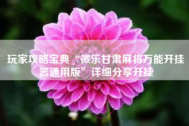 玩家攻略宝典“微乐甘肃麻将万能开挂器通用版”详细分享开挂