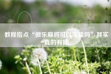 教程指点“微乐麻将可以买挂吗	”其实真的有挂