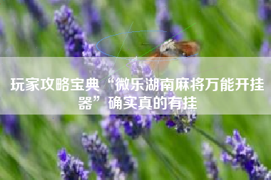 玩家攻略宝典“微乐湖南麻将万能开挂器”确实真的有挂