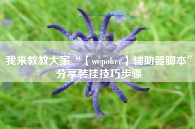 我来教教大家“【wepoker】辅助器脚本”分享装挂技巧步骤