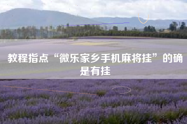 教程指点“微乐家乡手机麻将挂”的确是有挂