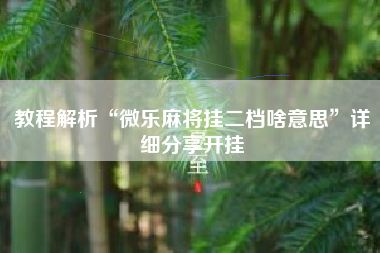 教程解析“微乐麻将挂二档啥意思	”详细分享开挂