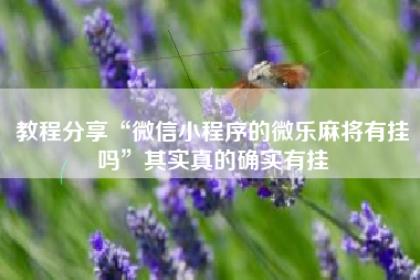 教程分享“微信小程序的微乐麻将有挂吗”其实真的确实有挂